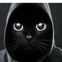 Артем Колотилов